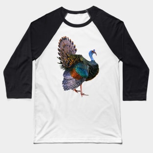 Ocellated Turkey Baseball T-Shirt